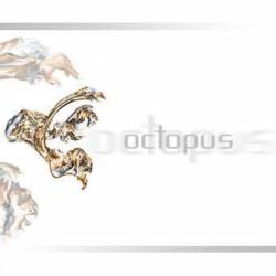 Octopus (CHL) : Octopus