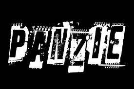 logo Panzie