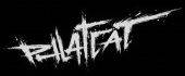 logo Phlatcat
