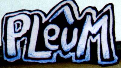 logo Pleum