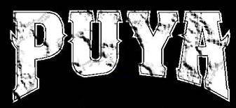 logo Puya