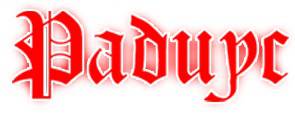 logo Radius