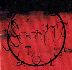 logo Selenim