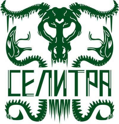 logo Selitra