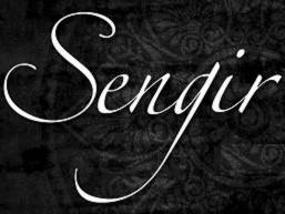 logo Sengir