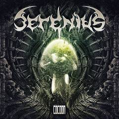 Serenius : Cocoon