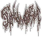 logo Sinworm