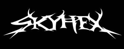 logo Skyhex