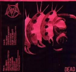 Slayer (USA) : Dead