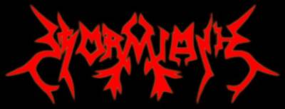 logo Stormlash
