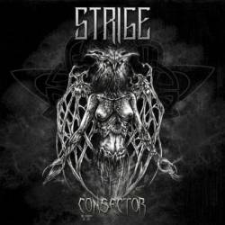 Strige : Consector