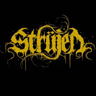 logo Strüjen