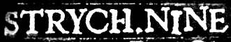 logo Strych.Nine