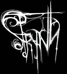 logo Strynn