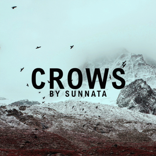 Sunnata : Crows