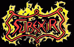 logo Surexir