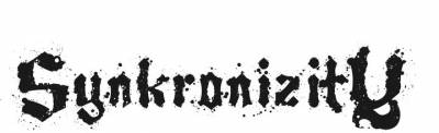 logo Synkronizity