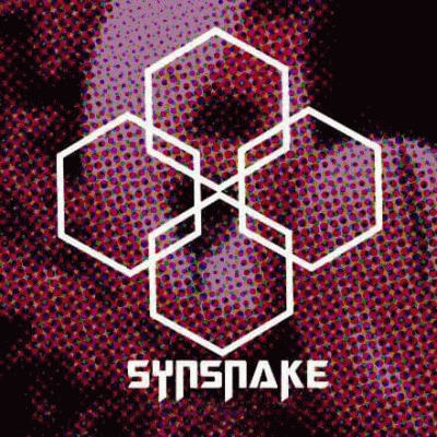 logo Synsnake
