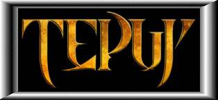 logo Tepuy