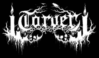 logo Torver