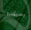 Trisomy : Entanglement