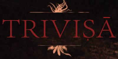 logo Trivisa