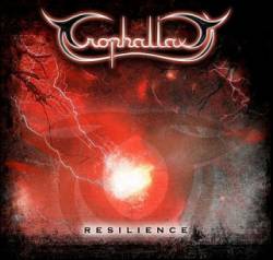 Trophallaxy : Resilience