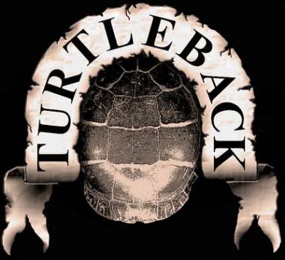 logo Turtleback