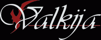 logo Valkija
