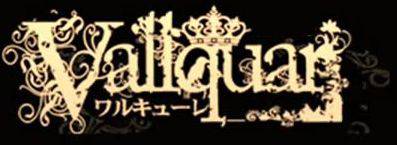 logo Vallquar