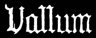logo Vallum