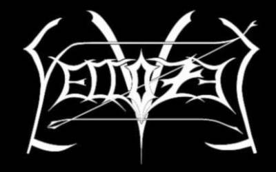 logo Vellozet