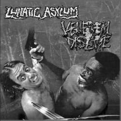 lunatic asylum depiction