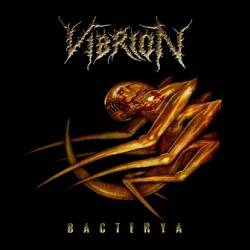 Vibrion : Bacterya