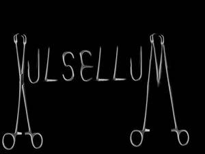 logo Vulsellum