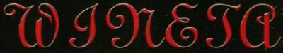 logo Wineta