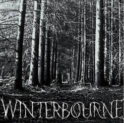 Winterbourne : Demo