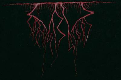 logo Wormsblood