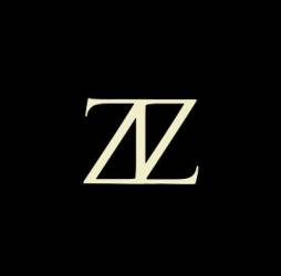 logo ZIZ