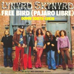 Triatleta Arroyo Arashigaoka Lynyrd Skynyrd Free Bird - Down South Jukin' (7'')- Spirit of Metal Webzine  (es)
