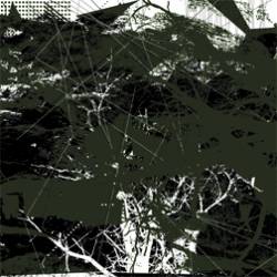 AUN : Whitehorse AUN : Whitehorse