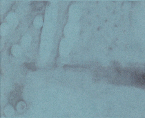 Adriva : Pigment...#2 Adriva : Pigment...#2