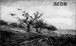 Aedh : Aedh