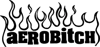 logo Aerobitch
