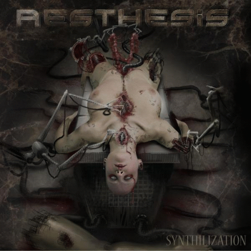 Aesthesis : Synthilization