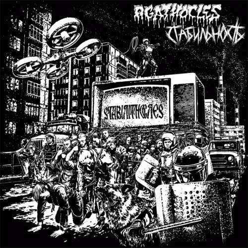 Agathocles : Stabilithocles