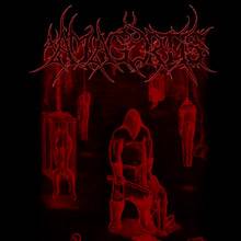 Amagortis : Amagortis