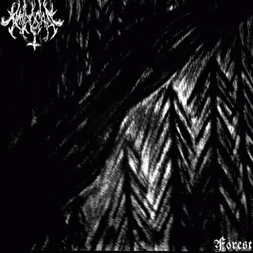 Amdusias : Forest Amdusias : Forest