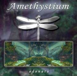 Amethystium : Odonata