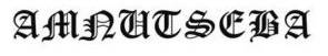 logo Amnutseba